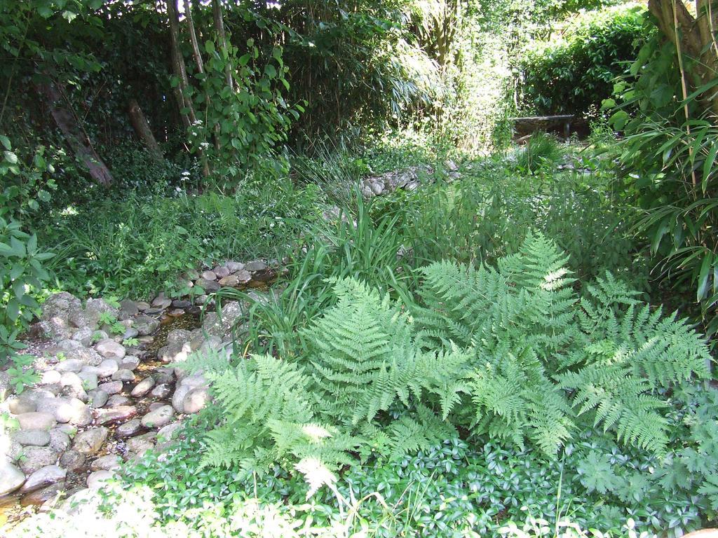 Schoonoord B&B 'T Nije Huus المظهر الخارجي الصورة